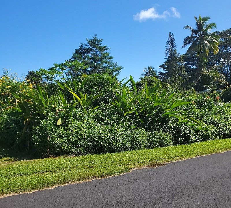 1st image of Hinalea St Lot 9