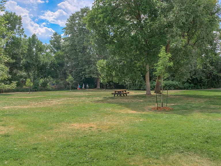 4806 Macintosh Pl — Photo 11