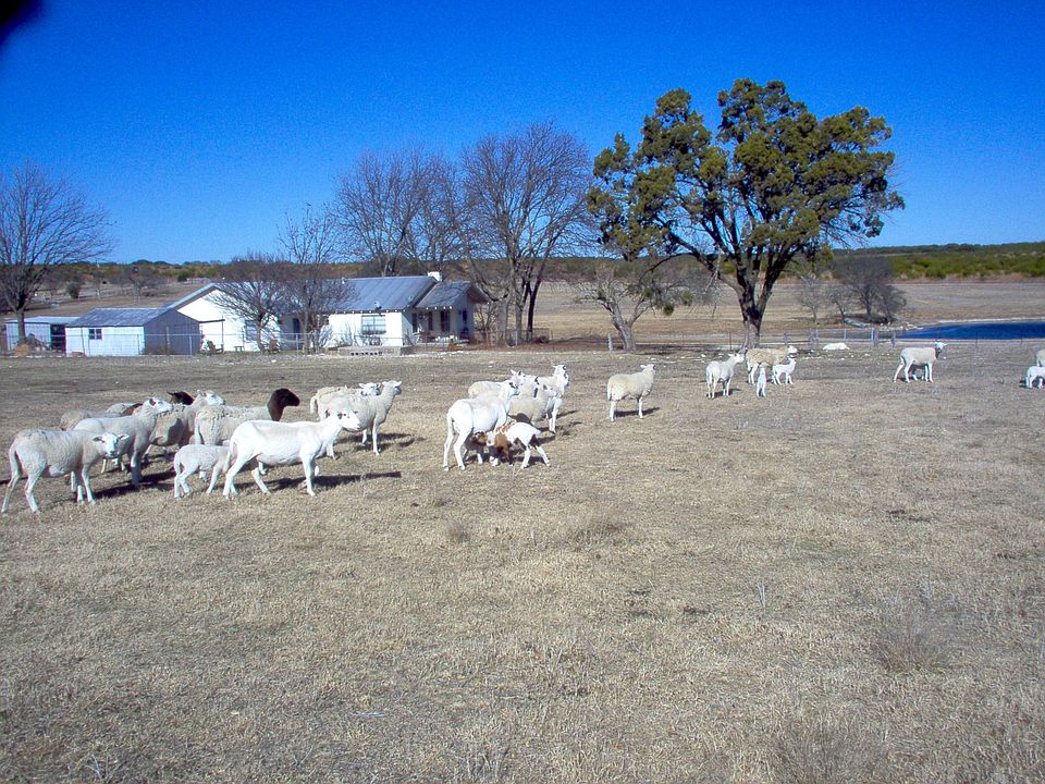 2nd image of 635 County Road 102