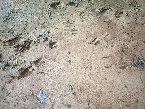 5th image of 2853 Old Natchez Trace Trl