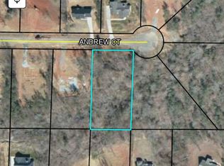 161 Andrew Ct, Forsyth, GA 31029