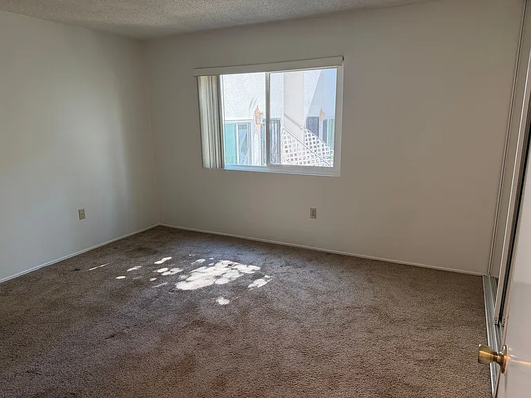 5255 Cass St #4 — Photo 15
