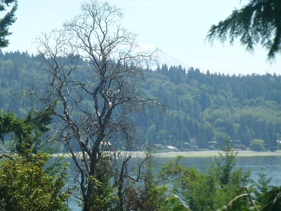 1st image of 4225 NE Papoose Pl