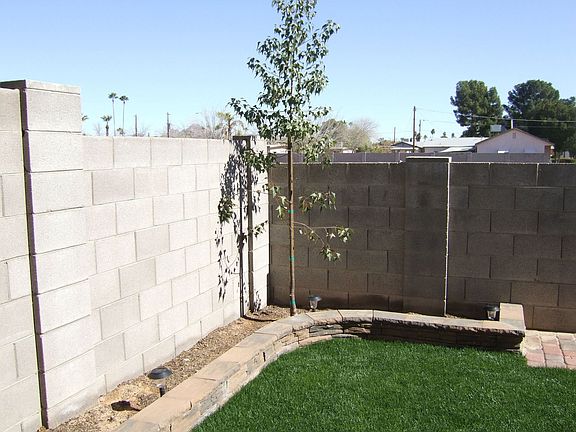 Back yard