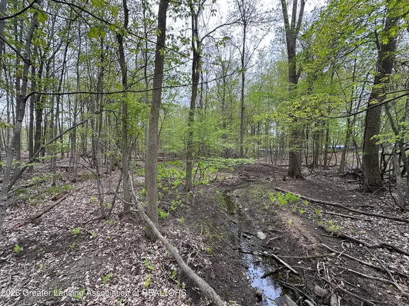 0 Thornapple Dr, Perrinton, MI 48871