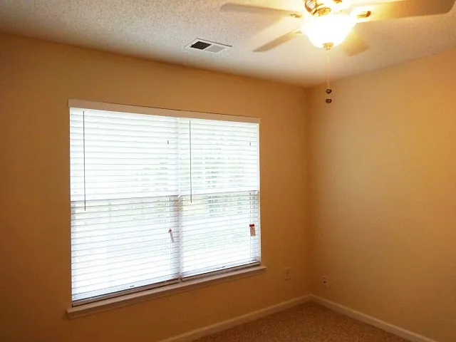 228 Trickle Dr — Photo 10
