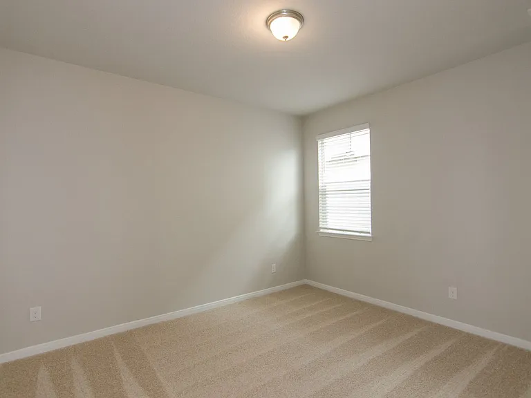 392 Fall Aster Dr — Photo 23