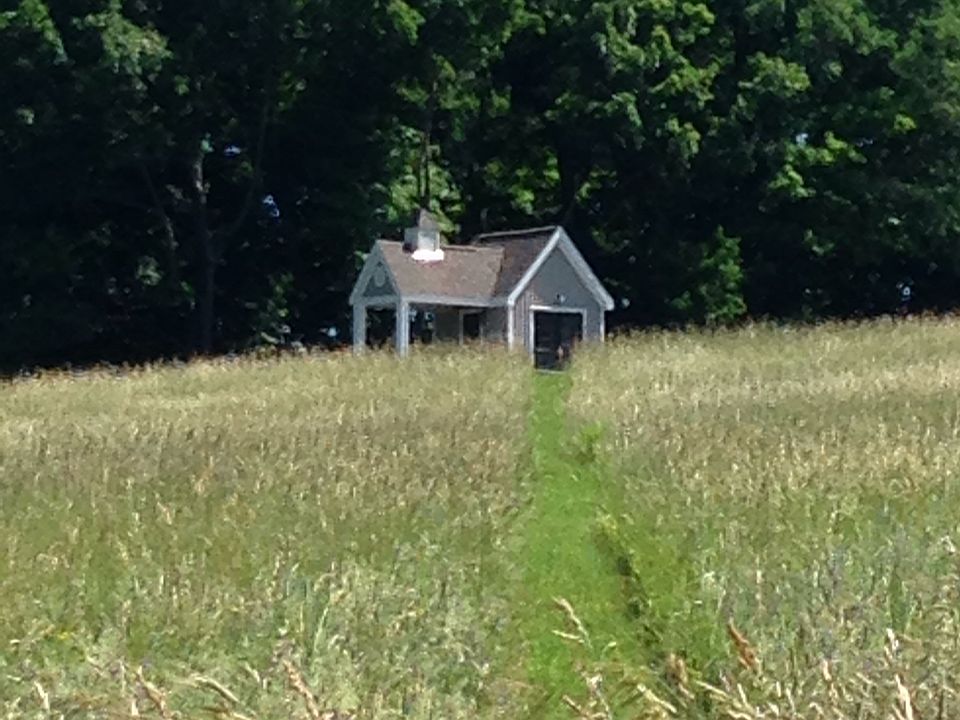 Shed at back of meadow