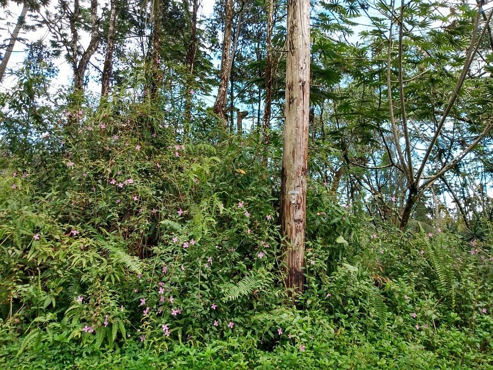 2nd image of Kauai Rd Lot 289