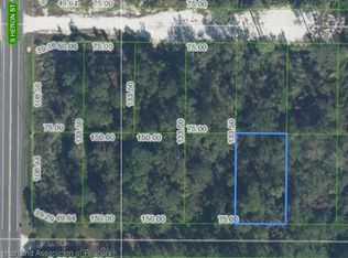 273 Pigeon Ave, Sebring, FL 33870