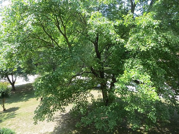 4th image of 145 Rockford Pl