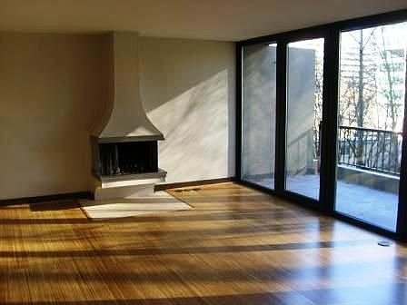 Fireplace/Living room