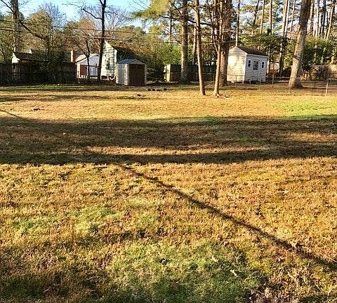 large back yard