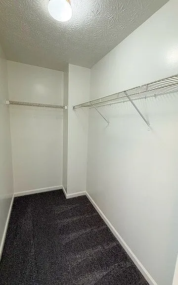 3412 Black Forest Ln — Photo 10