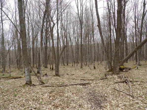 4315 N Tower Road, Winter, WI 54896