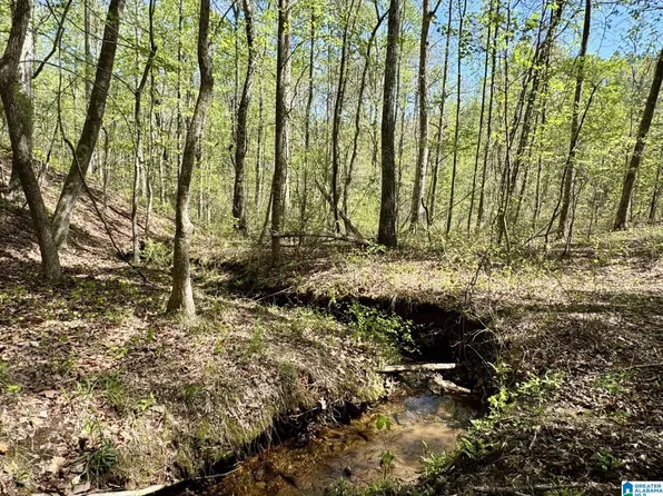 8 County Road 268, Roanoke, AL 36274