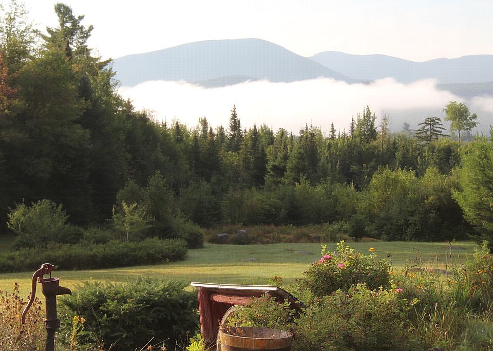 View from home site. 