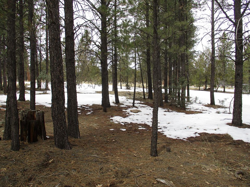 5236 Taos Cir Happy Jack, AZ, 86024 Apartments for Rent Zillow