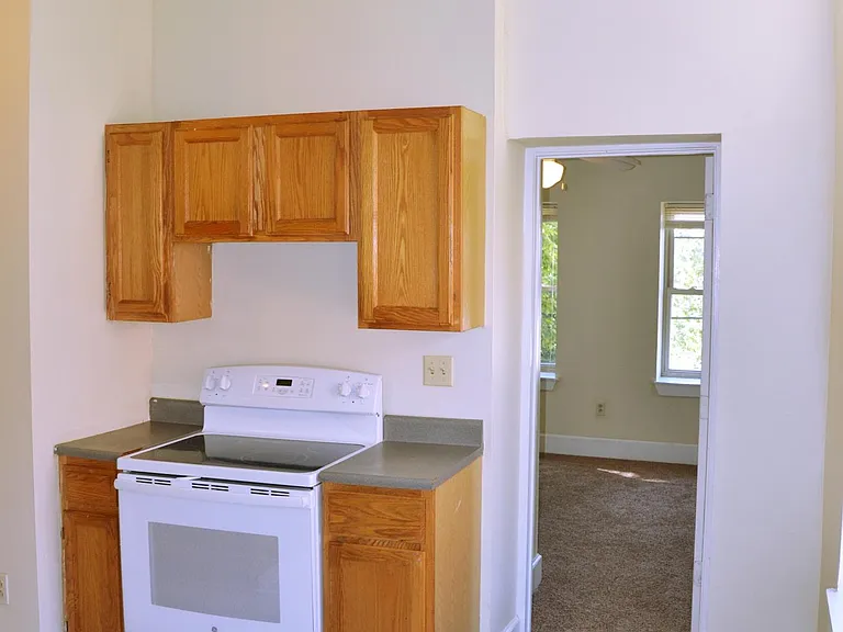 445 W McMicken Ave #2R — Photo 5