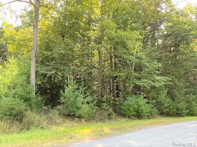 2nd image of Collins Rd