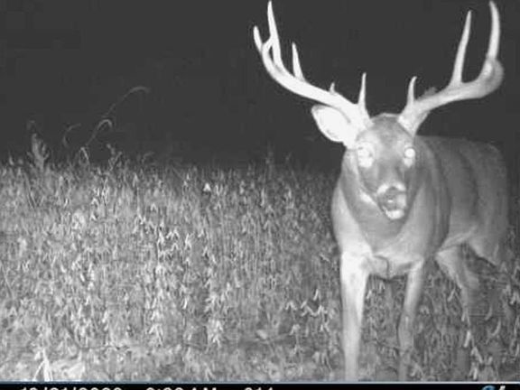 3rd image of 6880 County Road P