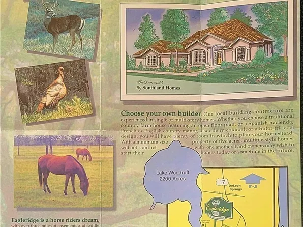 Brightway, Deland, FL 32720