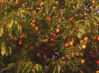 14145 Rivers Mill Rd, Capron, VA 23829