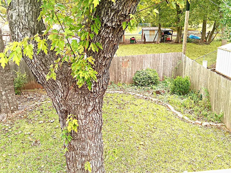 back yard