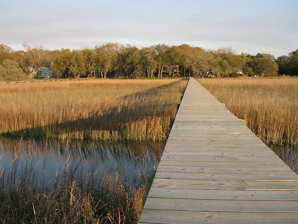 Looking at Shem Creek