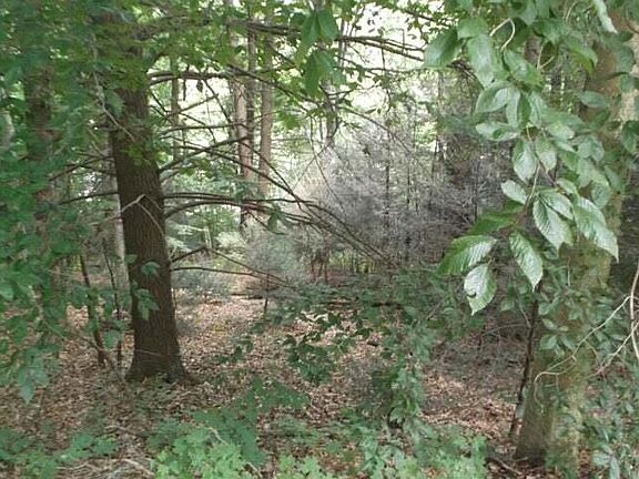 4th image of Township Road 2 Strawberry Ln