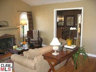 Living room vaulted ceiling