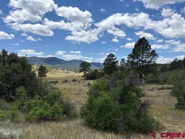 311 E Arbol Park Drive, Pagosa Springs, CO 81147