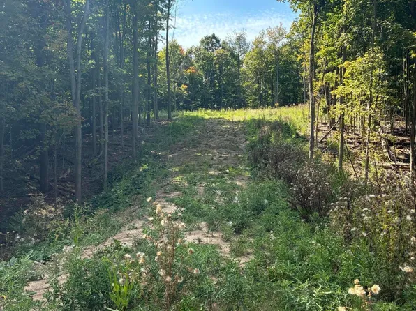 7701 Broadmoor Ave SE, Caledonia, MI 49316
