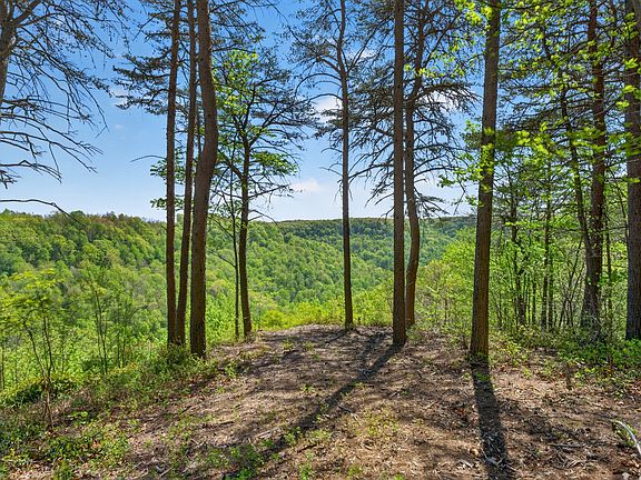 4th image of 2076 Timberwood Trce #317&318-lot 318