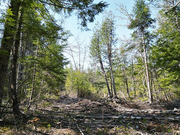 3rd image of Lot 2 Off Mattamiscontis Road