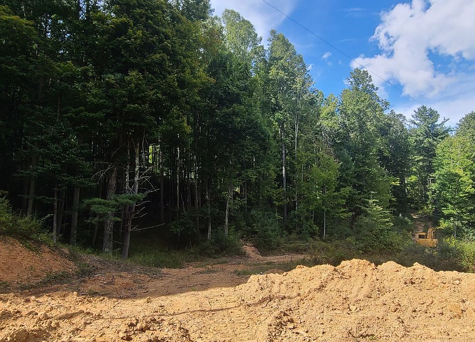 Ellison Ridge Rd, Jumping Branch, WV 25969 Zillow