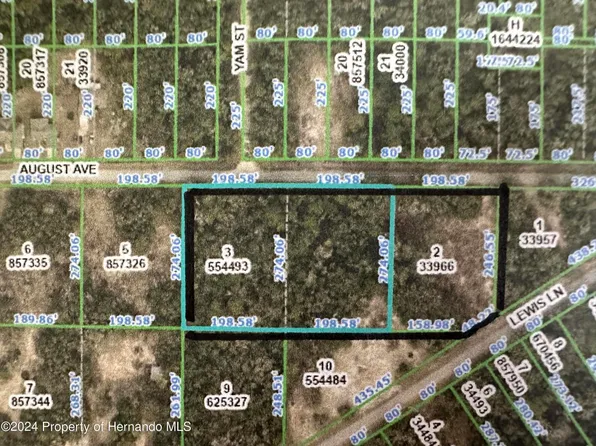 0 August Ave, Webster, FL 33597