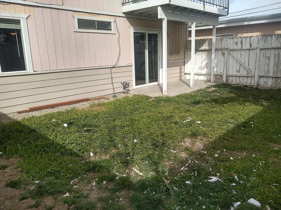 Sprinklers on timer.