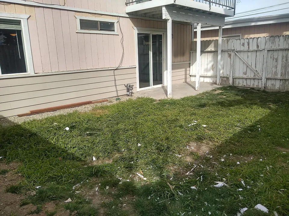 Sprinklers on timer.