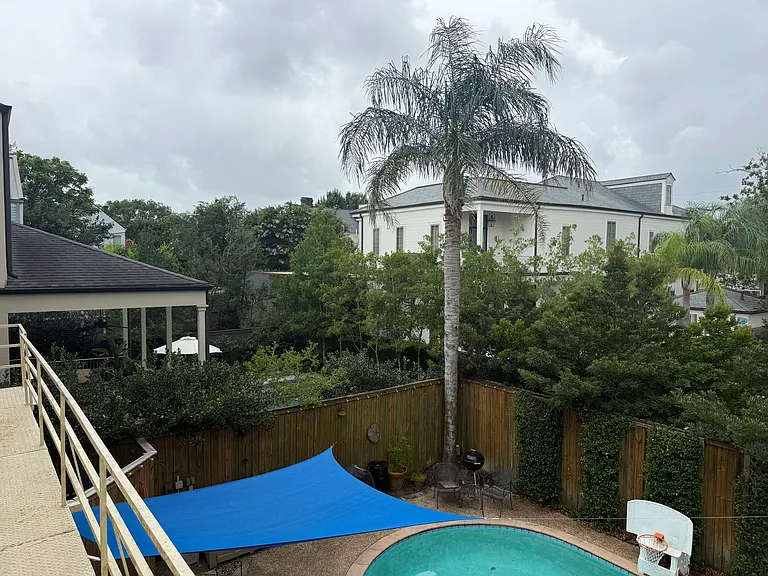 Left Neighbors and back view