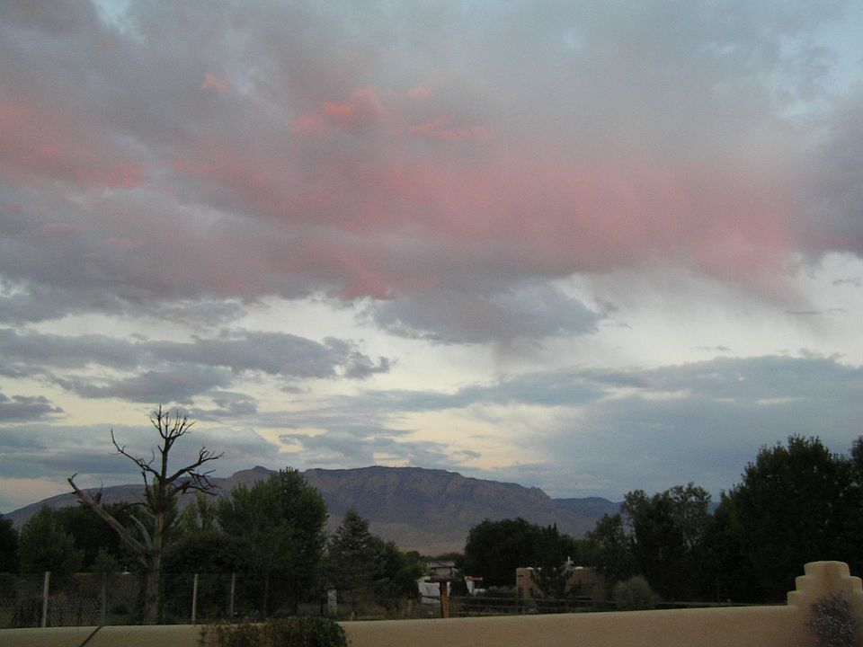 view from patio