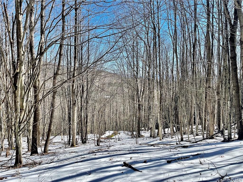 2 Spook Rock Road, Fleischmanns, NY 12430 MLS H6229722 Zillow