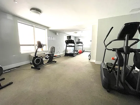 Rented by Native Real Estate LLC | media 18