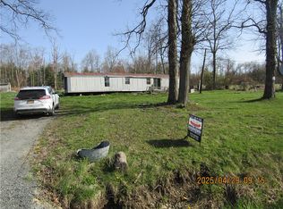 10171 Browntown Rd, Lindley, NY 14858