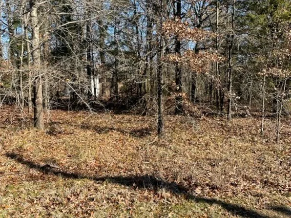 123 Deer Park Loop, Mabank, TX 75156