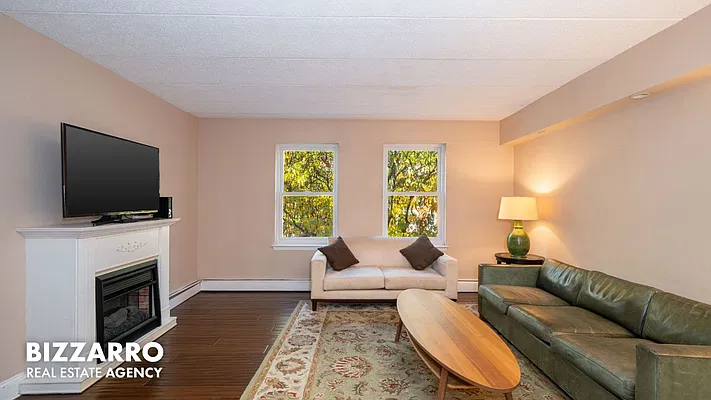 Living room, photo 2