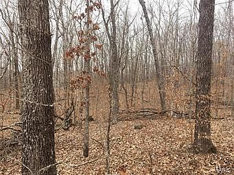 3rd image of 0 Buck Mountain Rd