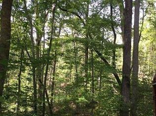 LOT 25 Bluebird Rd, Lake Lure, NC 28746