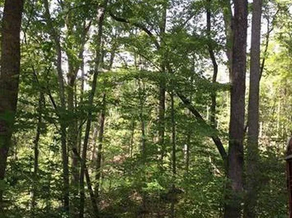LOT 25 Bluebird Rd, Lake Lure, NC 28746
