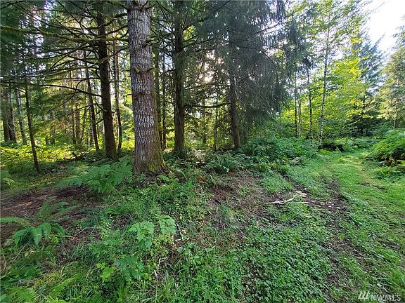 5th image of 9999 Highway 101 Parcel A
